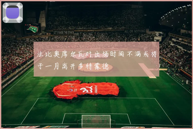 法比奥席尔瓦对出场时间不满或将于一月离开多特蒙德
