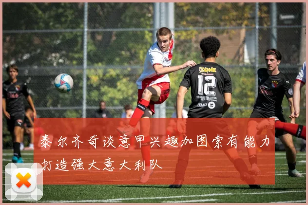 泰尔齐奇谈意甲兴趣加图索有能力打造强大意大利队